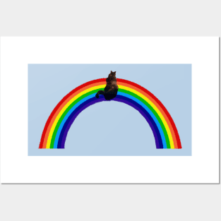 Climbing Over The Rainbow Posters and Art